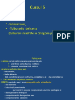 Cursul 5 AMG Schizofrenia, Tulburările Schizotipale Şi Delirante