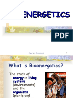 Bioenergetics