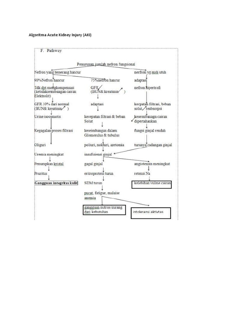 Algoritma Acute Kidney Injury | PDF