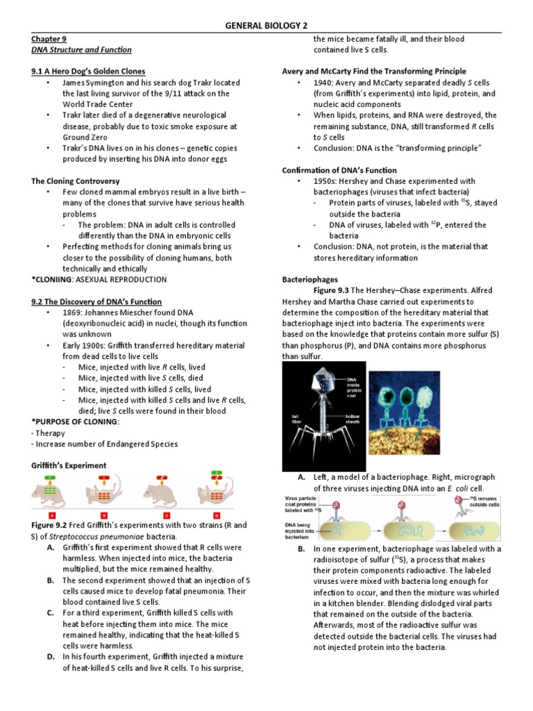 Chapter 9 - DNA Structure and Function | PDF | Dna Replication | Dna
