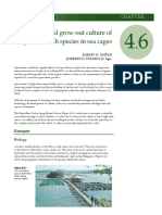 Chapter 4.6. Nursery and Grow-Out of High Value Species in Sea Cage PDF