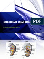 Duodenal Obstruction: Dr. Mochamad Reza Febrian
