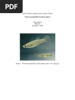 FAO Fish Identification Guide: Pacific | PDF | Species | Fish