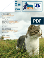 BoletinGretcaNº3 PDF