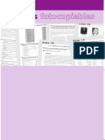 Fichas PrismaB2 PDF