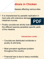 coccidiosis