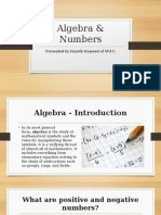 Algebra & Numbers (Math Project