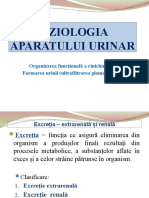 Fiziologia Aparatului Urinar