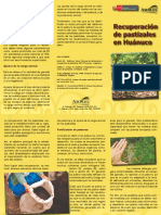 Triptiico HUANUCO PDF