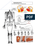 Ejercicios Practicos Esqueleto 1 Eso PDF
