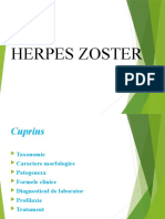 Herpes Zoster