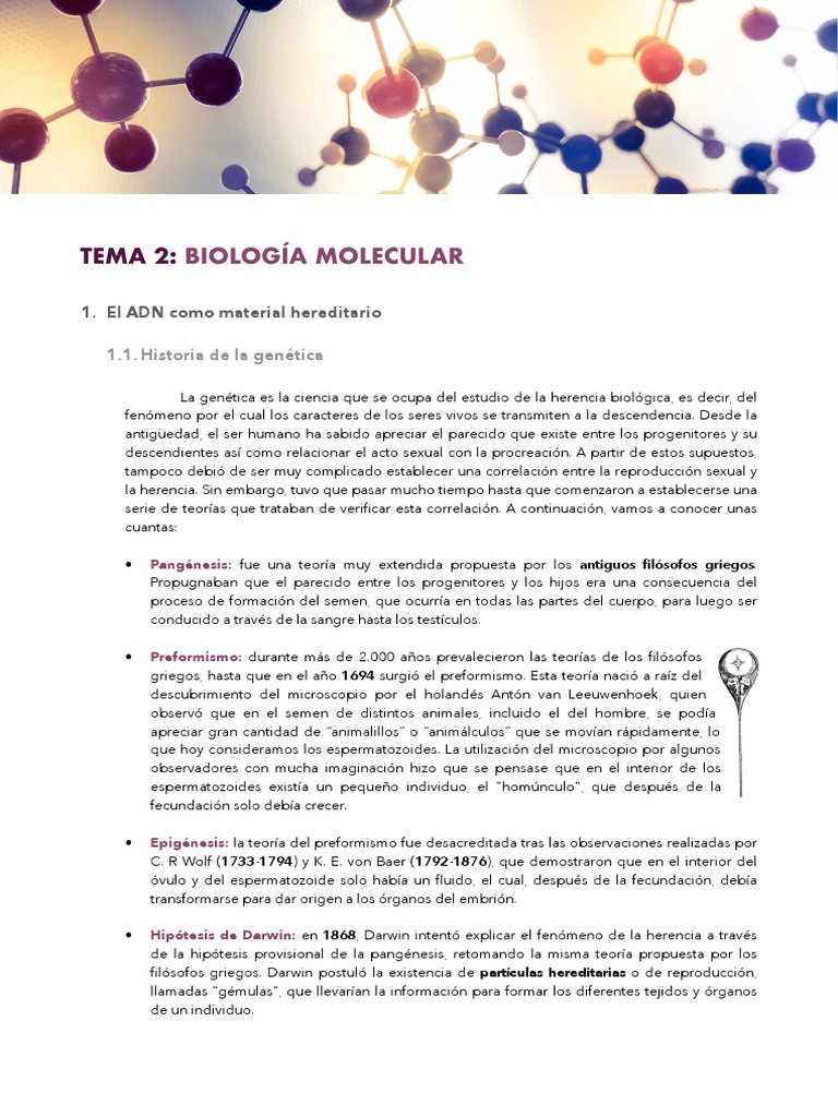 Tema 2-Biología Molecular PDF | PDF | Replicación De Adn | Adn