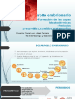 Desarrollo Embrionario