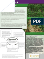 4.la Rotación de Cultivos PDF