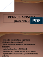1regnulmonera Procariote