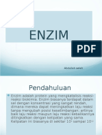 Enzim