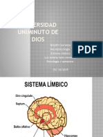 Ssistema Limbico 21