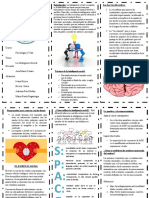 Triptico de La Inteligencia Social Modificado Final