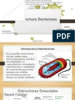 Estructura bacteriana