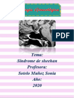 EL SINDROME DE SHEEHAN.docx