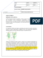 Naturales - Guia 1 - 8° PDF