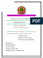 Constitution Project by Poku