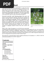Perennial plant - Wikipedia