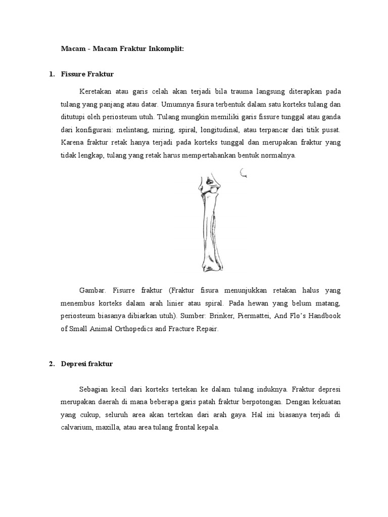 Macam-Macam Fraktur Inkomplit | PDF