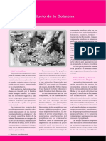 El Propóleos.pdf