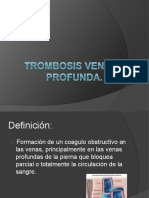 trombosisvenosaprofunda-120824225908-phpapp02-convertido.pptx