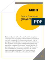 Control Environment Governance Audit 1585631025