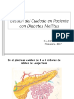 Gestión Del Cuidado en Paciente Con Diabetes Mellitus: E.U. Ximena Avello Primavera - 2017