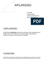 CAPILARIDAD