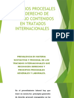 Principios Procesalesen Convenios Internacionales.