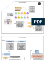 Mapa Mental Neuromoduladores