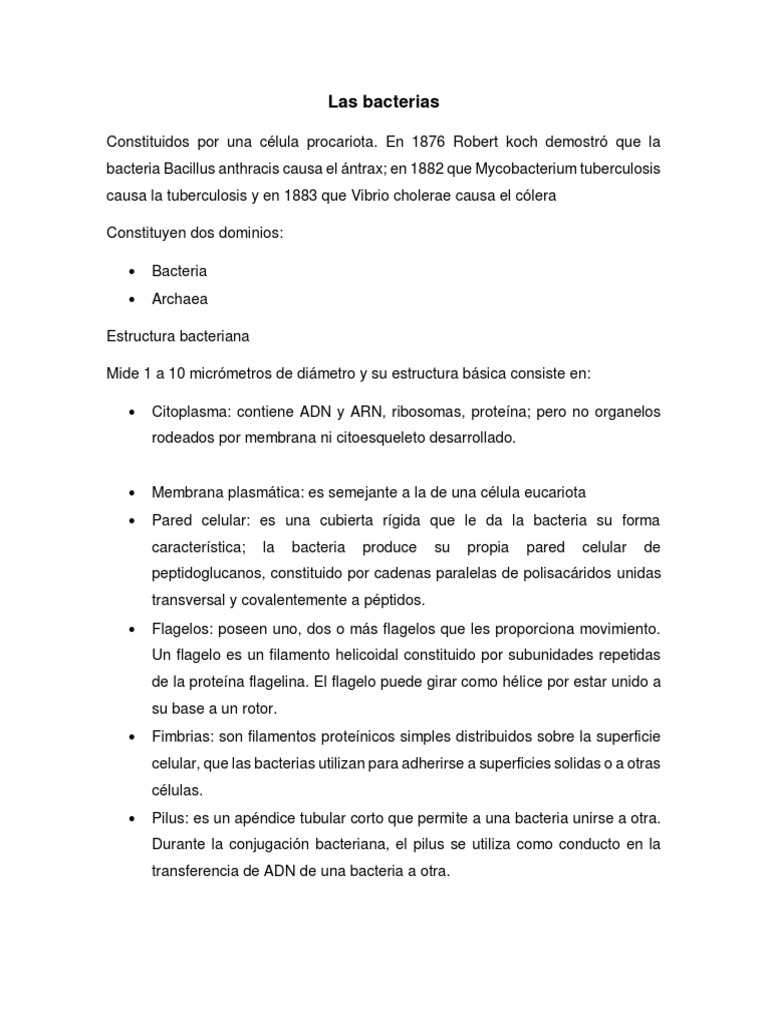Las Bacterias - Microbiología | PDF | Las bacterias | Procariota