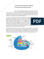 Taller de Apoyo I Periodo Biología Grado Sexto