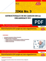 3-Estructuracion de Cargos en La Organizacion Recursos Humanos PDF