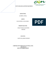 Proyecto de Aplicación de Matrices