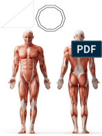 Plantilla Biomagnetismo Distancia