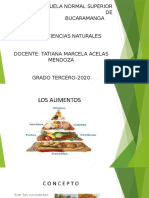 Exposición Tema Alimentos