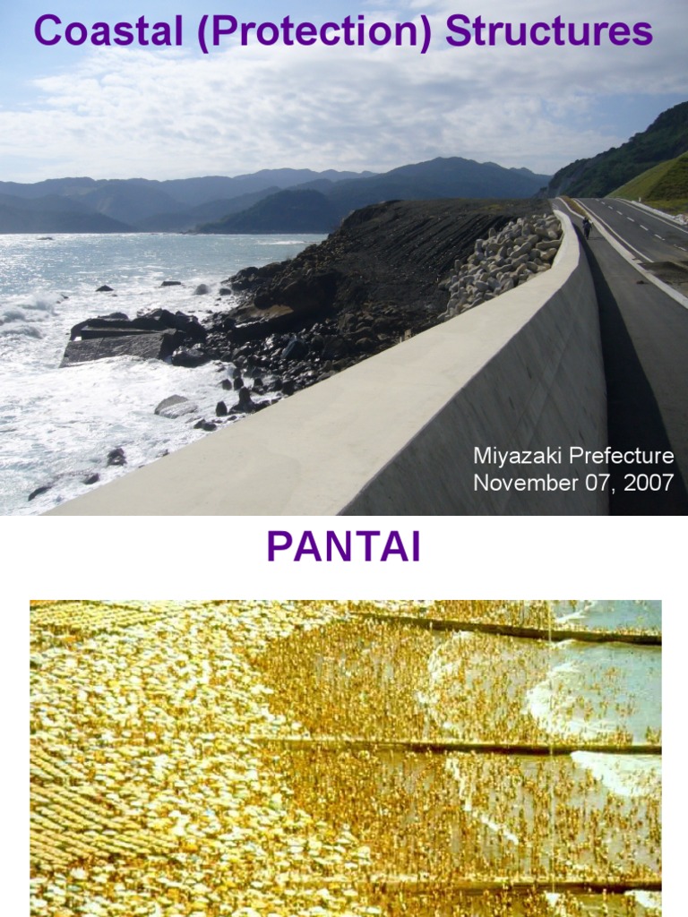 Coastal Protection Methods Explained | PDF | Hydrology | Bodies Of Water