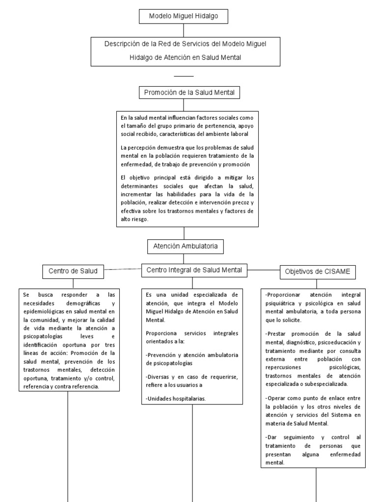 Mapa Conceptual Modelo Miguel Hidalgo - Psiquiatria | PDF | Hospital |  Salud mental