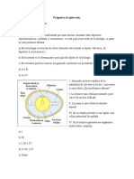 Preguntas de Aplicación