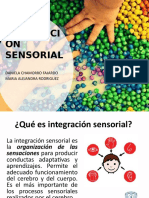 Integracion Sensorial XX