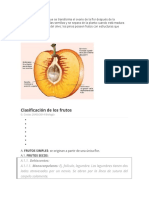 Parte de La Planta en Que Se Transforma El Ovario de La Flor Después de La Fecundación