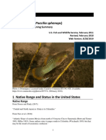 Mexican Molly (Poecilia Sphenops) : Ecological Risk Screening Summary