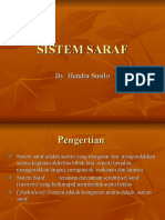 SISTEM SARAF