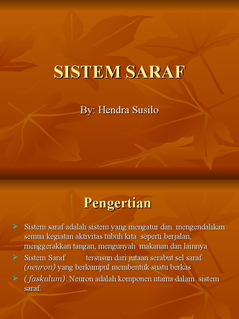 Sistem Saraf Kelas Xi Ppt