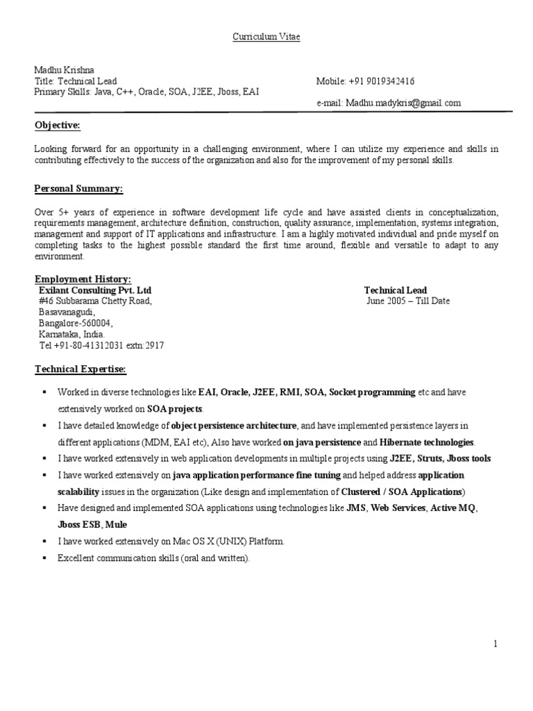 Technical Lead CV: Java, C++, SOA Expert | PDF | Service Oriented ...
